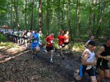 DSC_0184.jpg