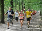 _DSC0950.jpg