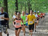 _DSC0951.jpg