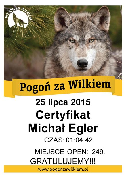 Pogoń za Wilkiem