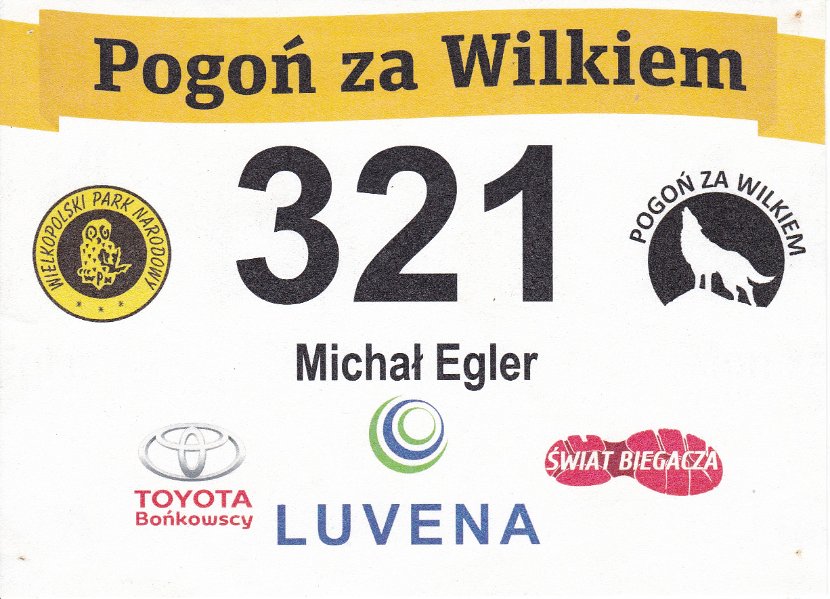 Pogoń za Wilkiem