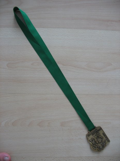 Pogoń za Wilkiem