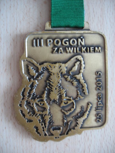 Pogoń za Wilkiem