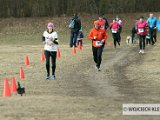 12615491_903295969783296_7819196519293006014_o.jpg