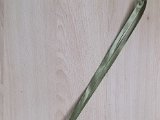 DSCF5362.JPG