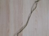 DSCF5350.JPG
