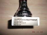 DSCF5652.JPG