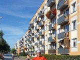 20180930_114017.jpg