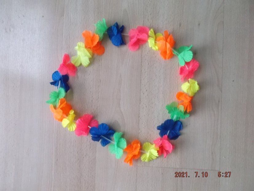 DSCF5883