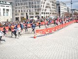 9371_20230402_125356_269101849_original.jpg