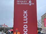 IMG_7981.jpg