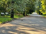 IMG_0635.jpg
