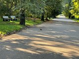 IMG_0636.jpg