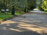 IMG_0637.jpg