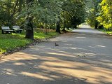 IMG_0638.jpg