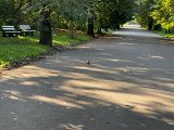 IMG_0640.jpg