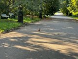 IMG_0641.jpg