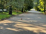 IMG_0642.jpg