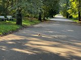 IMG_0643.jpg