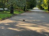 IMG_0644.jpg