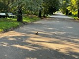 IMG_0645.jpg