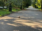 IMG_0646.jpg