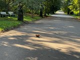 IMG_0647.jpg