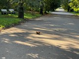 IMG_0648.jpg
