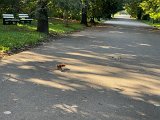 IMG_0649.jpg