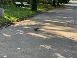 IMG_0650.jpg