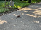 IMG_0651.jpg