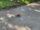 IMG_0652.jpg