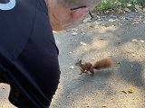 IMG_0654.jpg