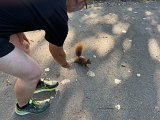 IMG_0656.jpg