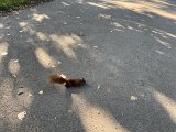 IMG_0657.jpg