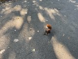 IMG_0658.jpg