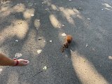 IMG_0659.jpg