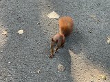 IMG_0660.jpg