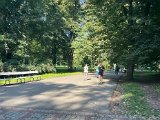 IMG_0717.jpg