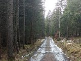 IMG_20240126_132222.jpg