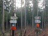 IMG_20240126_133701.jpg