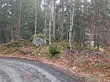 IMG_20240126_134214.jpg