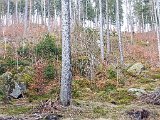 IMG_20240126_134656.jpg