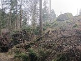 IMG_20240126_135039.jpg