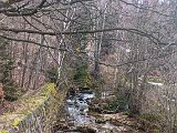 IMG_20240126_135852.jpg
