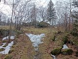 IMG_20240126_140523.jpg