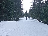 IMG_20240127_114139.jpg