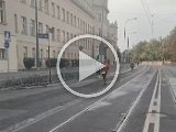 462790254_27175101645438376_5948613536851996470_n.mp4