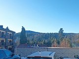 IMG_20250119_094532.jpg