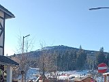 IMG_20250119_103638.jpg
